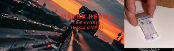 ECSTASY Каменногорск