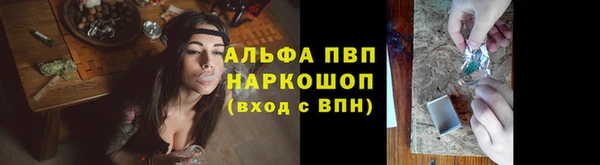 ECSTASY Каменногорск
